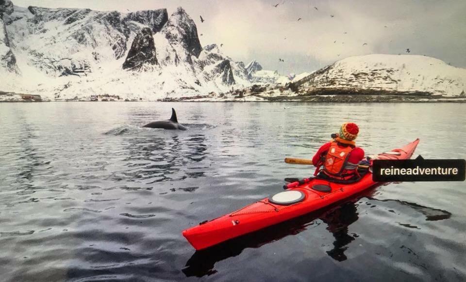 Cozy Apartment In The Middle Of Lofoten Leknes Esterno foto
